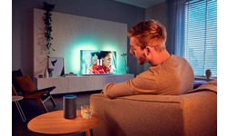 Philips The One 65PUS7304