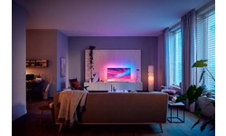 Philips The One 65PUS7304