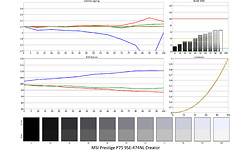 MSI Prestige P75 9SE-474NL Creator