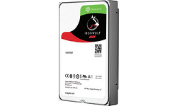 Seagate IronWolf 10TB (ST10000VN0008)