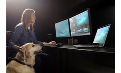 HP ZBook 15v G5 (6TR84EA)