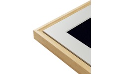 Netgear MC321LW White