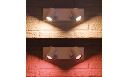 Philips Hue Argenta 2-Spot White & Colour White