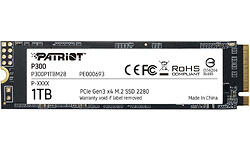 Patriot P300 1TB