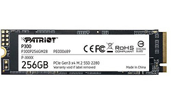 Patriot P300 256GB