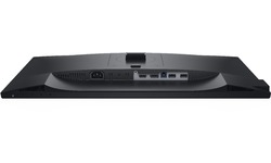 Dell P2421D
