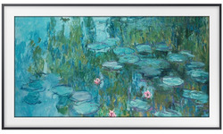 Samsung QE43LS03T