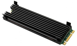 Thermal Grizzly TG-M2SSD-ABR
