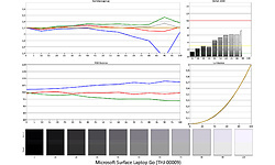 Microsoft Surface Laptop Go (THJ-00009)