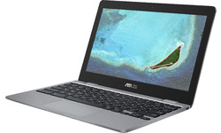 Asus Chromebook C223NA-GJ0088