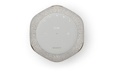 Sony SRS-RA3000 Grey