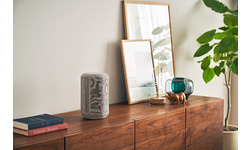 Sony SRS-RA3000 Grey