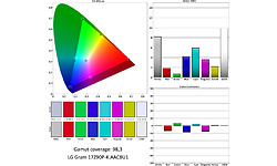 LG Gram 17Z90P-K.AAC8U1