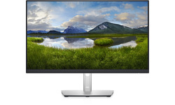 Dell P2422HE