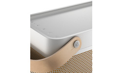 Bang & Olufsen Beolit 20 Mist Grey