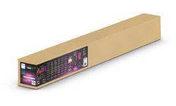 Philips HUE Hanglamp Ensis White