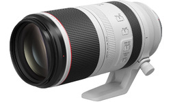 Canon RF 100-500mm f/4.5-7.1L IS USM