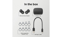Sony LinkBuds Grey