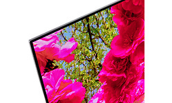 LG OLED65C24LA