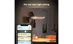 Philips Hue Being Hanglamp Aluminium (915005914501)