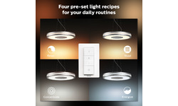 Philips Hue Being Hanglamp Aluminium (915005914501)
