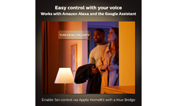 Philips Hue Being Hanglamp Aluminium (915005914501)