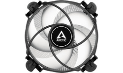 Arctic Alpine 17