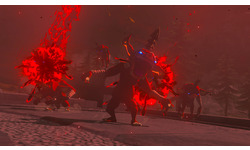 The Legend of Zelda Tears of The Kingdom (Nintendo Switch)