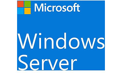 Microsoft Windows Server CAL 2022 (R18-06466)