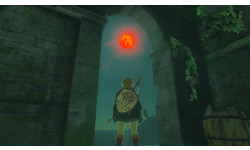 The Legend of Zelda: Tears of the Kingdom: Collector's Edition (Nintendo Switch)