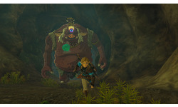 The Legend of Zelda: Tears of the Kingdom: Collector's Edition (Nintendo Switch)