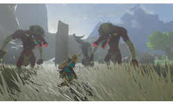 The Legend of Zelda: Tears of the Kingdom: Collector's Edition (Nintendo Switch)