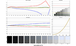 Sony Xperia 5 V 128GB Black