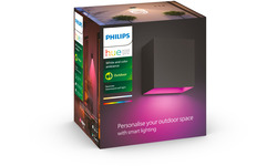 Philips Hue Resonate Downward White And Color Black