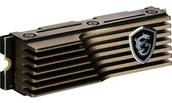 MSI Spatium M570 Heatsink 2TB (M.2 2280)