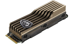 MSI Spatium M570 Heatsink 2TB (M.2 2280)