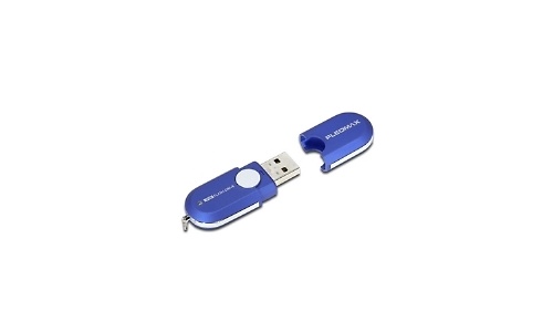 Samsung Pleomax Flash Drive 4GB
