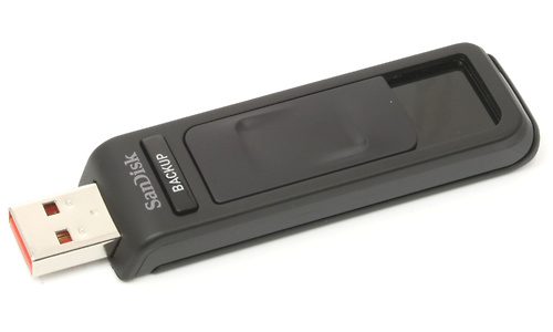 Sandisk Cruzer Ultra Backup 32GB