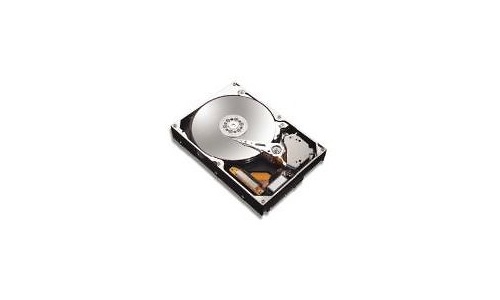 Maxtor MaXLine III 300GB SATA2