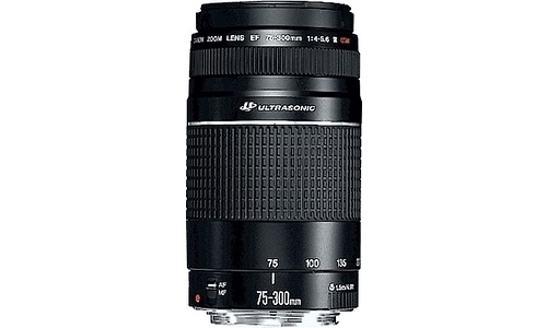 Canon EF 75-300mm f/4-5.6 III USM