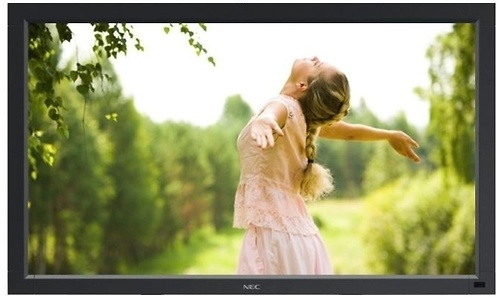 NEC MultiSync V421 (without stand)