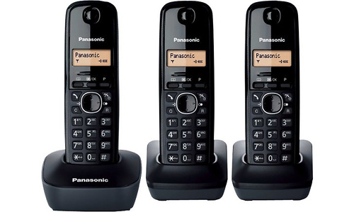 Panasonic KX-TG1613 Trio