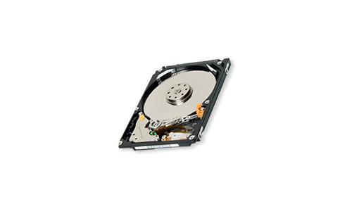 Toshiba MK3261GSYN 320GB