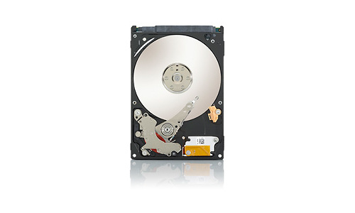 Seagate Video 2.5 HDD 250GB