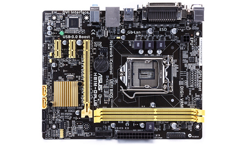 Asus H81M-D Plus