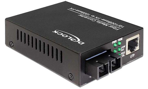 Delock Media Converter 100Mbps