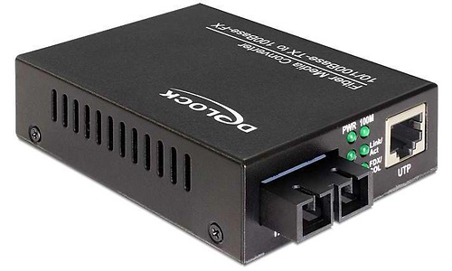 Delock Media Converter 100Mbps