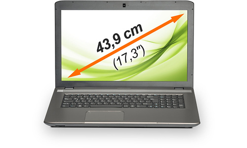 Medion Akoya P7631 (MD98873)