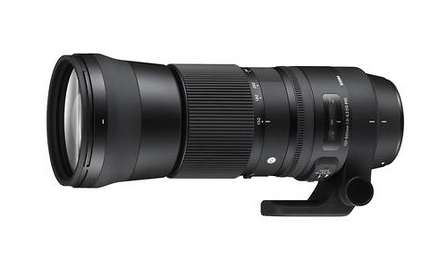 Sigma 150-600mm f/5-6.3 DG OS HSM (Nikon)