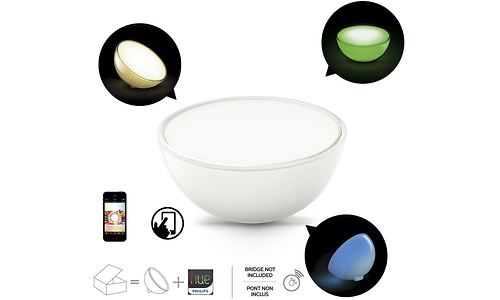 Philips Hue Go